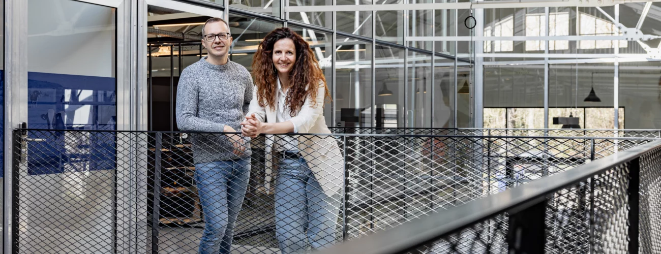 HEXAGON REVIVE 6 X8 A8256 WEB